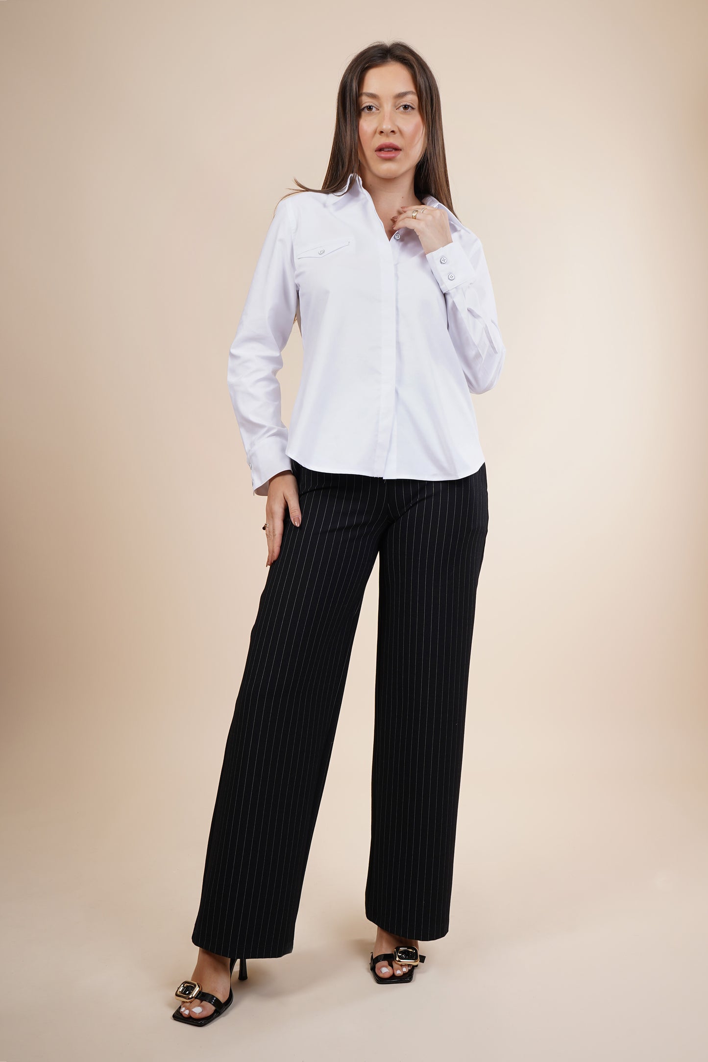 Blusa de vestir con manga larga 252068